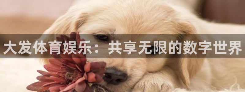 大发体育娱乐：共享无限的数字世界