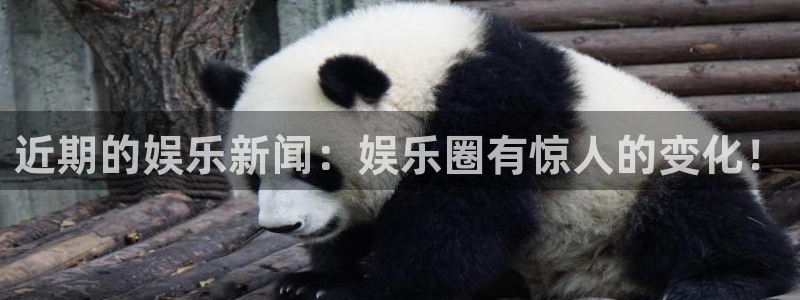 近期的娱乐新闻：娱乐圈有惊人的变化！