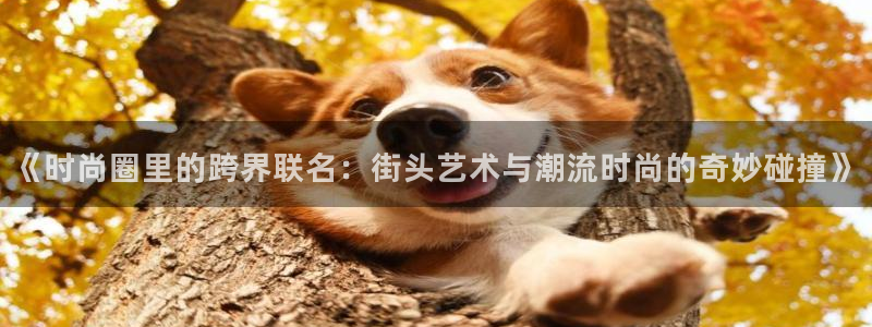 《时尚圈里的跨界联名：街头艺术与潮流时尚的奇妙碰撞》