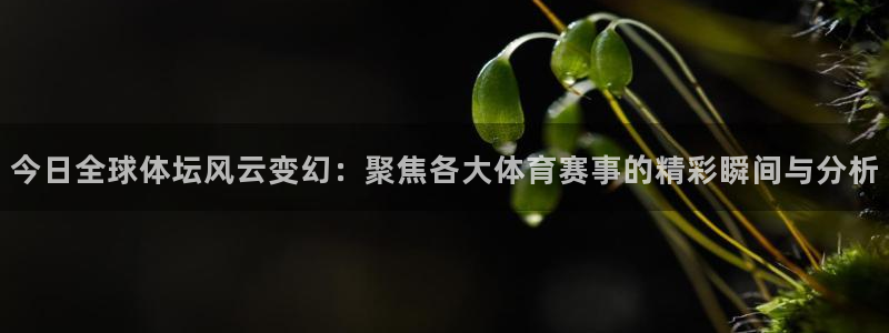 今日全球体坛风云变幻：聚焦各大体育赛事的精彩瞬间与分析