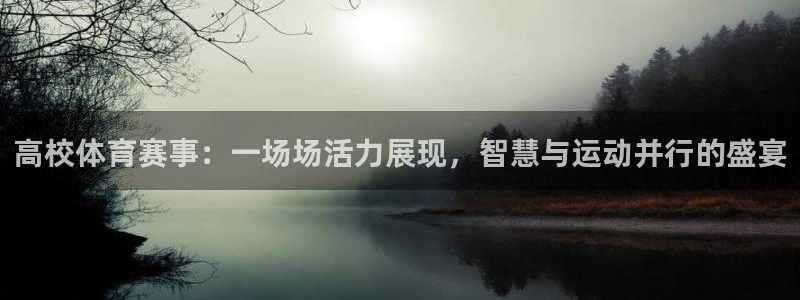 高校体育赛事：一场场活力展现，智慧与运动并行的盛宴
