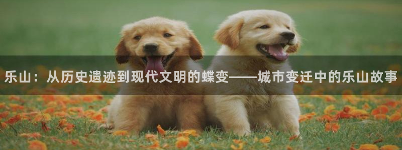 乐山：从历史遗迹到现代文明的蝶变——城市变迁中的乐山故事