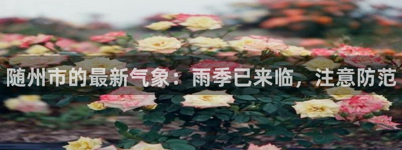 随州市的最新气象：雨季已来临，注意防范