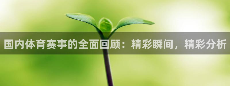 国内体育赛事的全面回顾：精彩瞬间，精彩分析