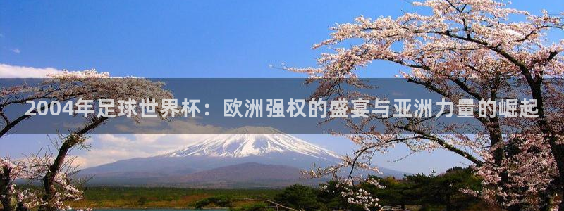 2004年足球世界杯：欧洲强权的盛宴与亚洲力量的崛起