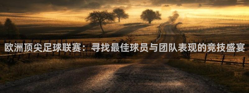 欧洲顶尖足球联赛：寻找最佳球员与团队表现的竞技盛宴