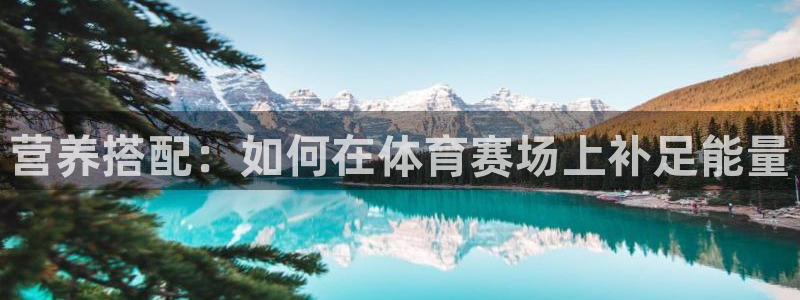 营养搭配：如何在体育赛场上补足能量
