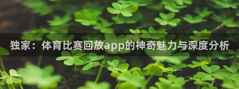 独家：体育比赛回放app的神奇魅力与深度分析