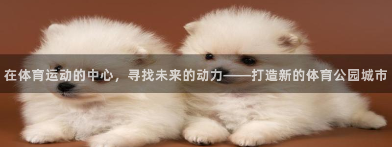 在体育运动的中心，寻找未来的动力——打造新的体育公园城市
