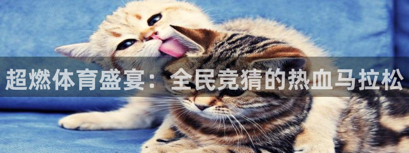 超燃体育盛宴：全民竞猜的热血马拉松