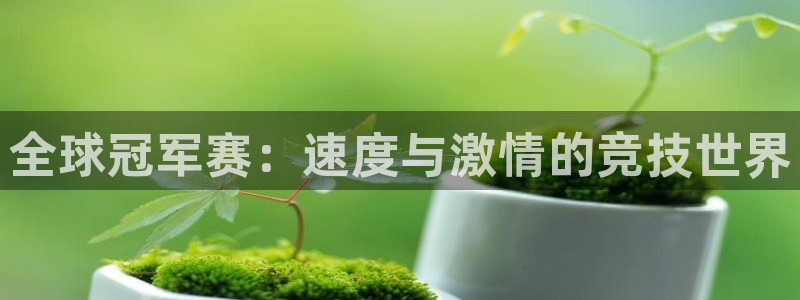 全球冠军赛：速度与激情的竞技世界