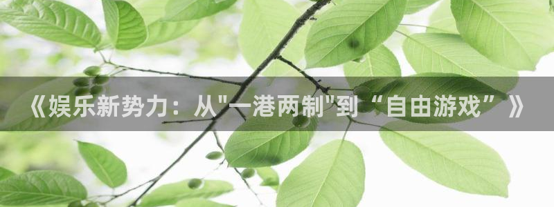 《娱乐新势力：从\