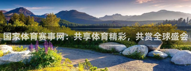 国家体育赛事网：共享体育精彩，共赏全球盛会