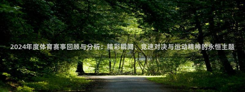 2024年度体育赛事回顾与分析：精彩瞬间、竞速对决与运动精神的永恒主题