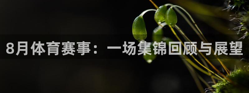 8月体育赛事：一场集锦回顾与展望
