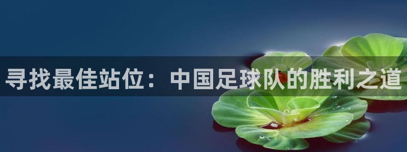 寻找最佳站位：中国足球队的胜利之道