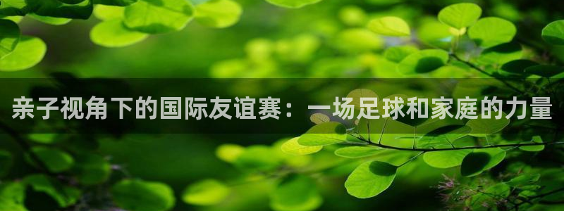 亲子视角下的国际友谊赛：一场足球和家庭的力量