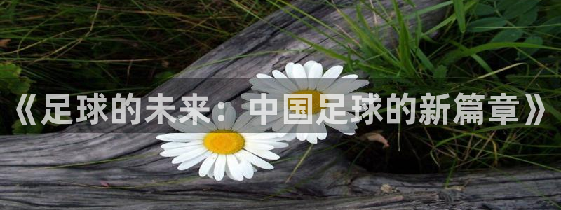 《足球的未来：中国足球的新篇章》