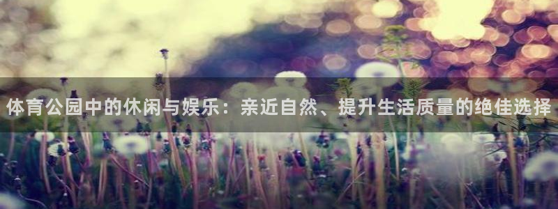 体育公园中的休闲与娱乐：亲近自然、提升生活质量的绝佳选择