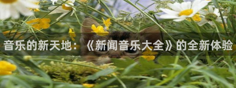 音乐的新天地：《新闻音乐大全》的全新体验