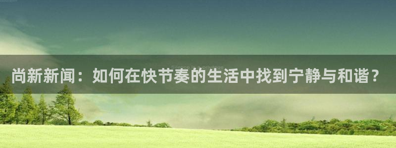 尚新新闻：如何在快节奏的生活中找到宁静与和谐？