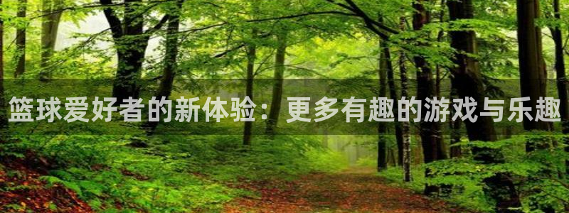 篮球爱好者的新体验：更多有趣的游戏与乐趣