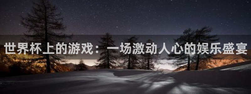 世界杯上的游戏：一场激动人心的娱乐盛宴