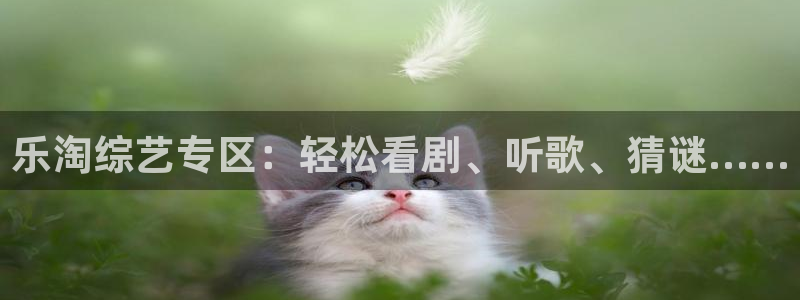 乐淘综艺专区：轻松看剧、听歌、猜谜……