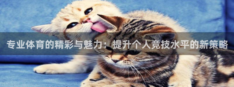专业体育的精彩与魅力：提升个人竞技水平的新策略