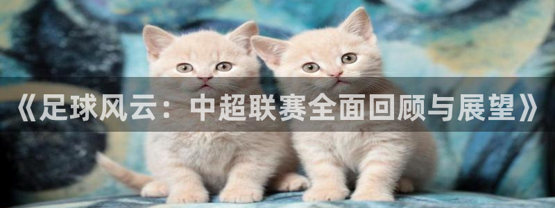《足球风云：中超联赛全面回顾与展望》