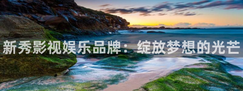 新秀影视娱乐品牌：绽放梦想的光芒