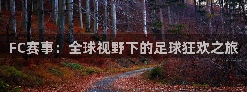 FC赛事：全球视野下的足球狂欢之旅