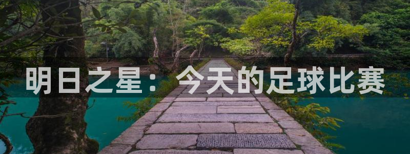 明日之星：今天的足球比赛