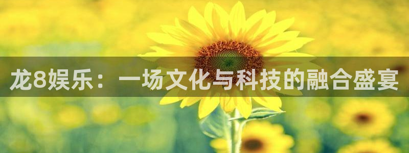 龙8娱乐：一场文化与科技的融合盛宴