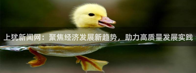 上犹新闻网：聚焦经济发展新趋势，助力高质量发展实践