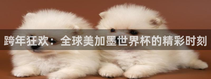 跨年狂欢：全球美加墨世界杯的精彩时刻