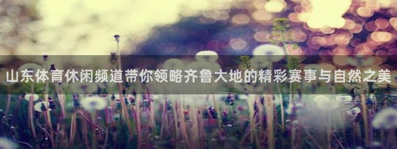 山东体育休闲频道带你领略齐鲁大地的精彩赛事与自然之美