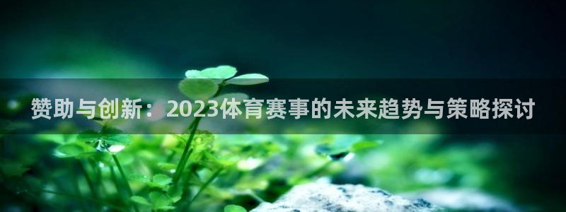 赞助与创新：2023体育赛事的未来趋势与策略探讨