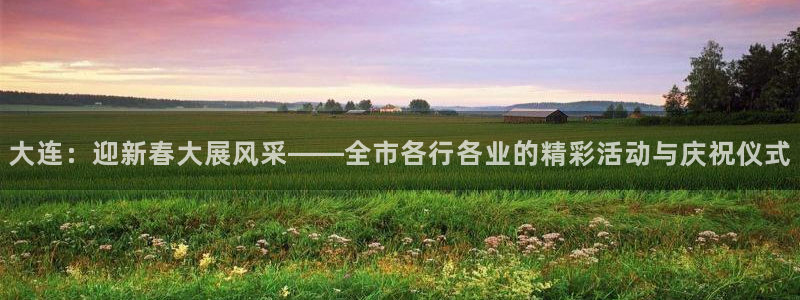 大连：迎新春大展风采——全市各行各业的精彩活动与庆祝仪式