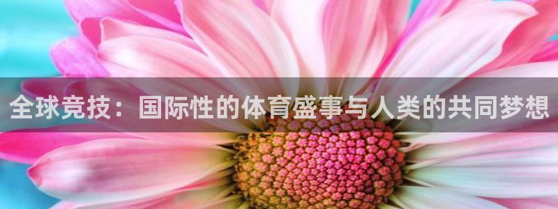 全球竞技：国际性的体育盛事与人类的共同梦想