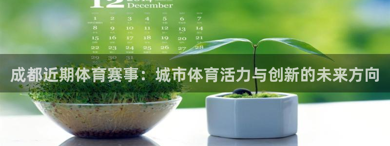 成都近期体育赛事：城市体育活力与创新的未来方向