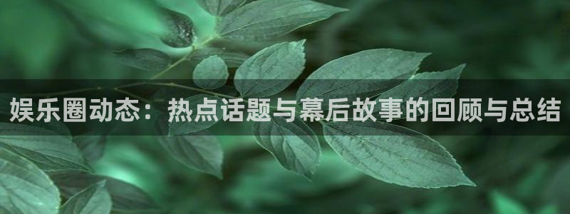 娱乐圈动态：热点话题与幕后故事的回顾与总结