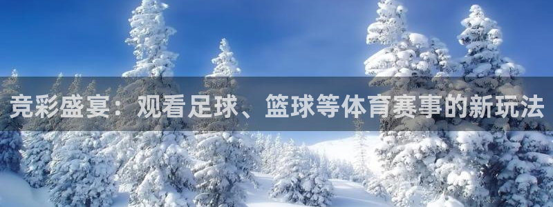 竞彩盛宴：观看足球、篮球等体育赛事的新玩法