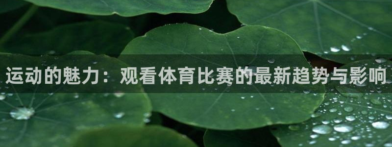 运动的魅力：观看体育比赛的最新趋势与影响